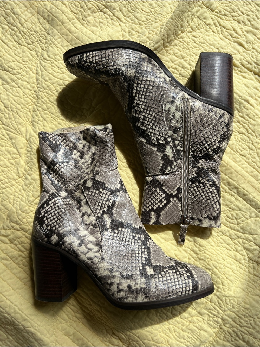 Steve Madden Snake Skin Learher Block Heel Ankle Boot